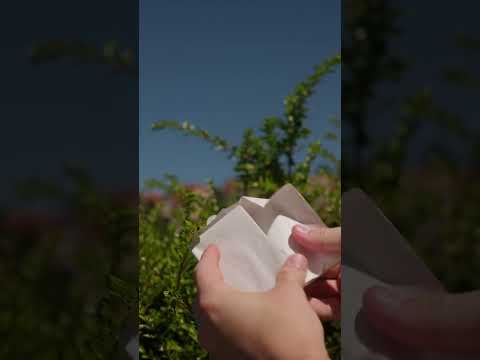 Indlæs video: