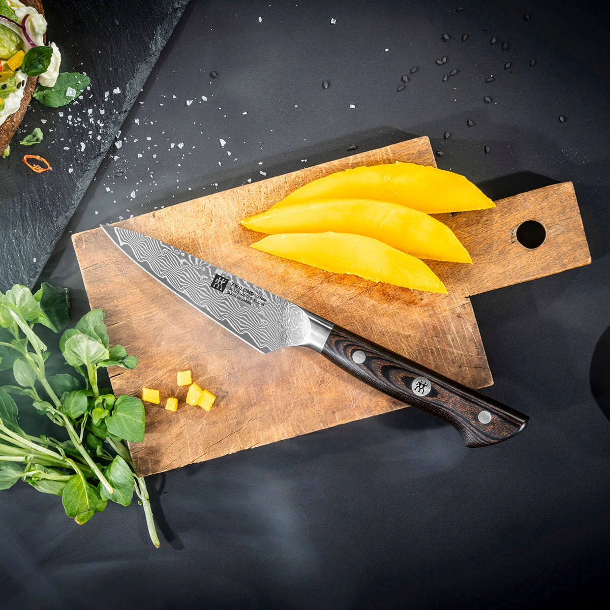 Zwilling Tanrei Urtekniv 10 cm, Micarta
