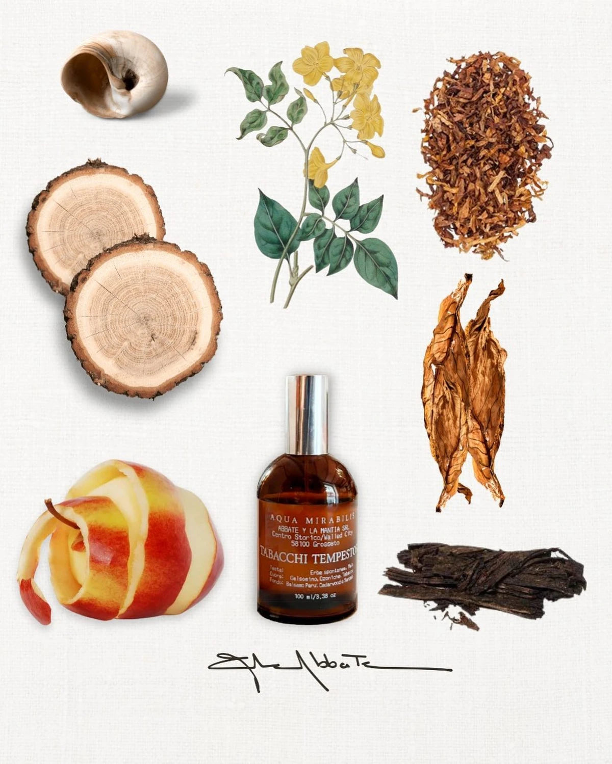 Aqua Mirabilis, Tabacchi Tempestosi, 100 ml.