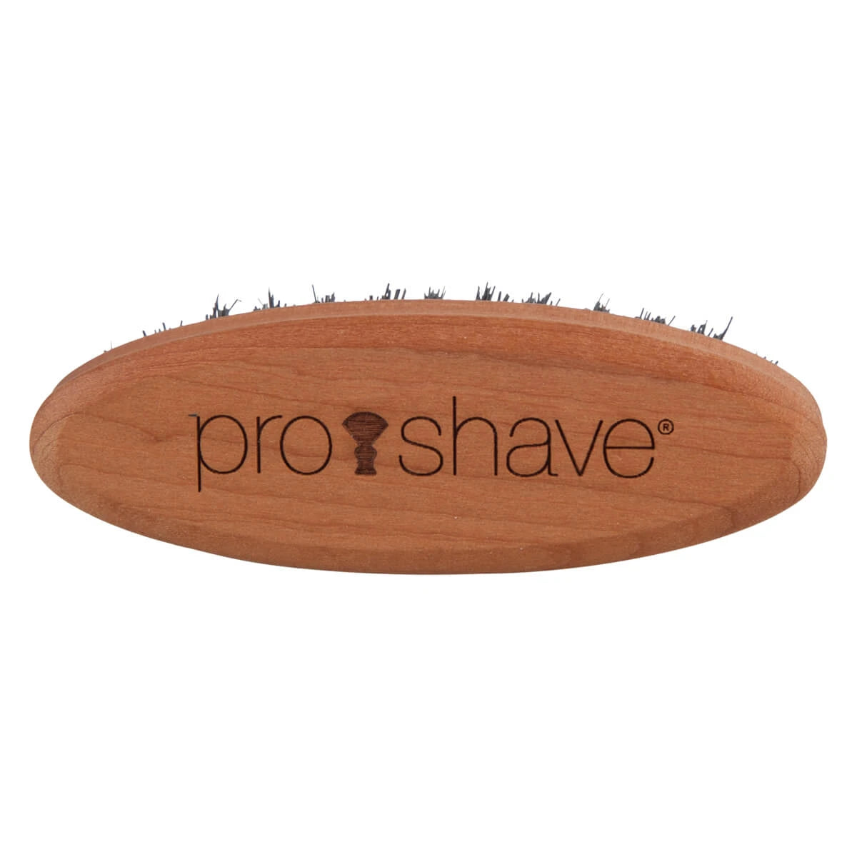 Skægbørste i pæretræ, Black boar