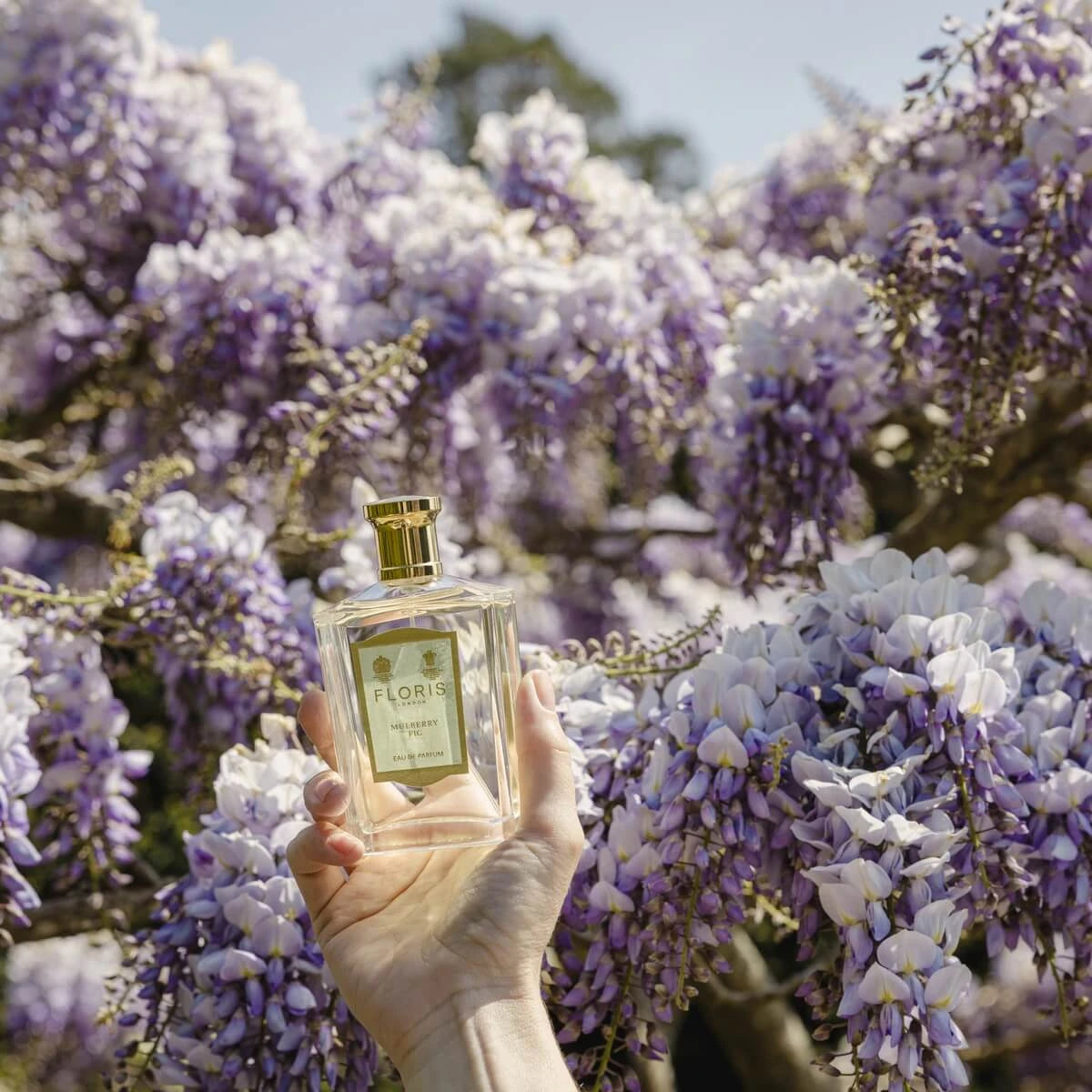 Mulberry Fig, Eau de Parfum, 100 ml.