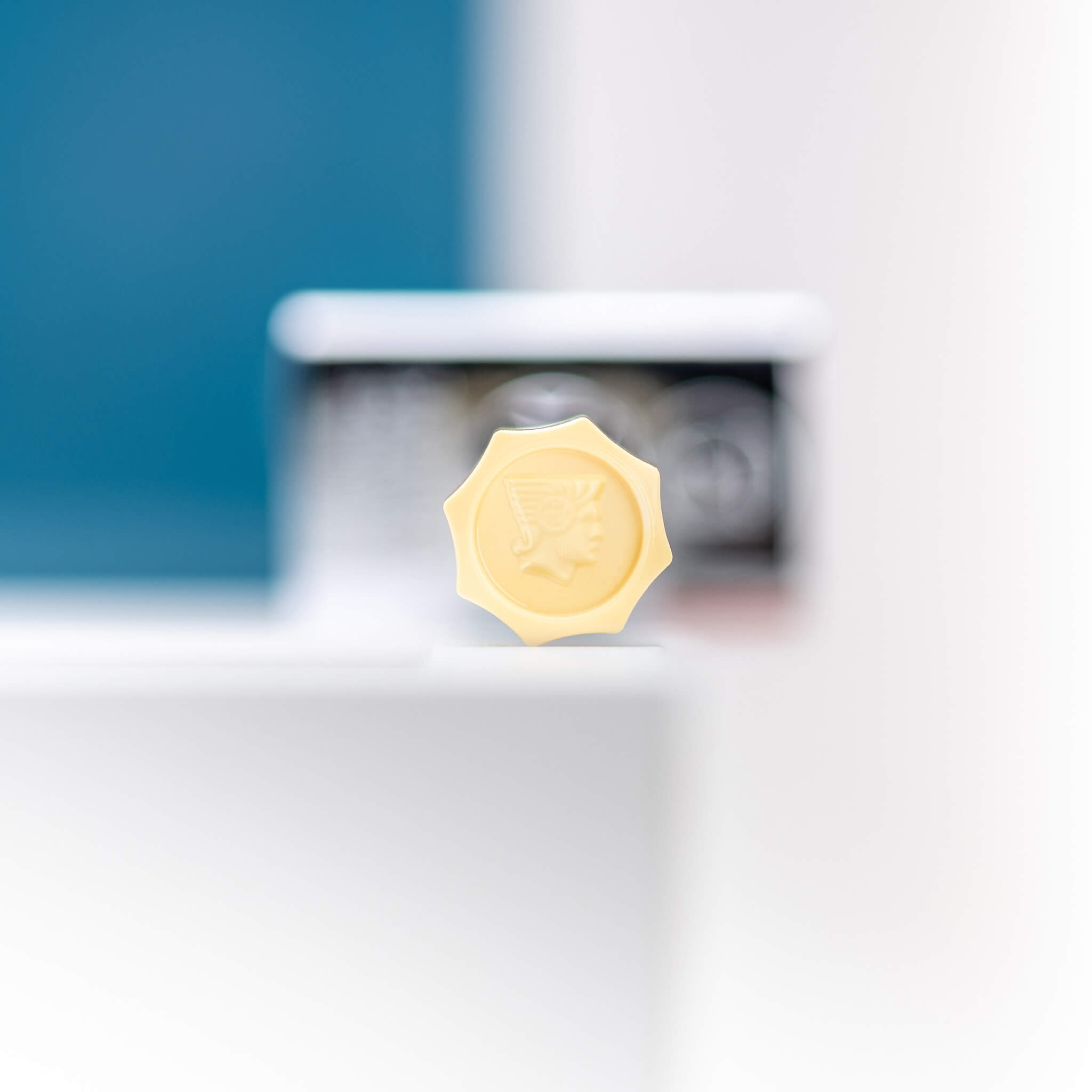 Progress Justerbar DE-skraber