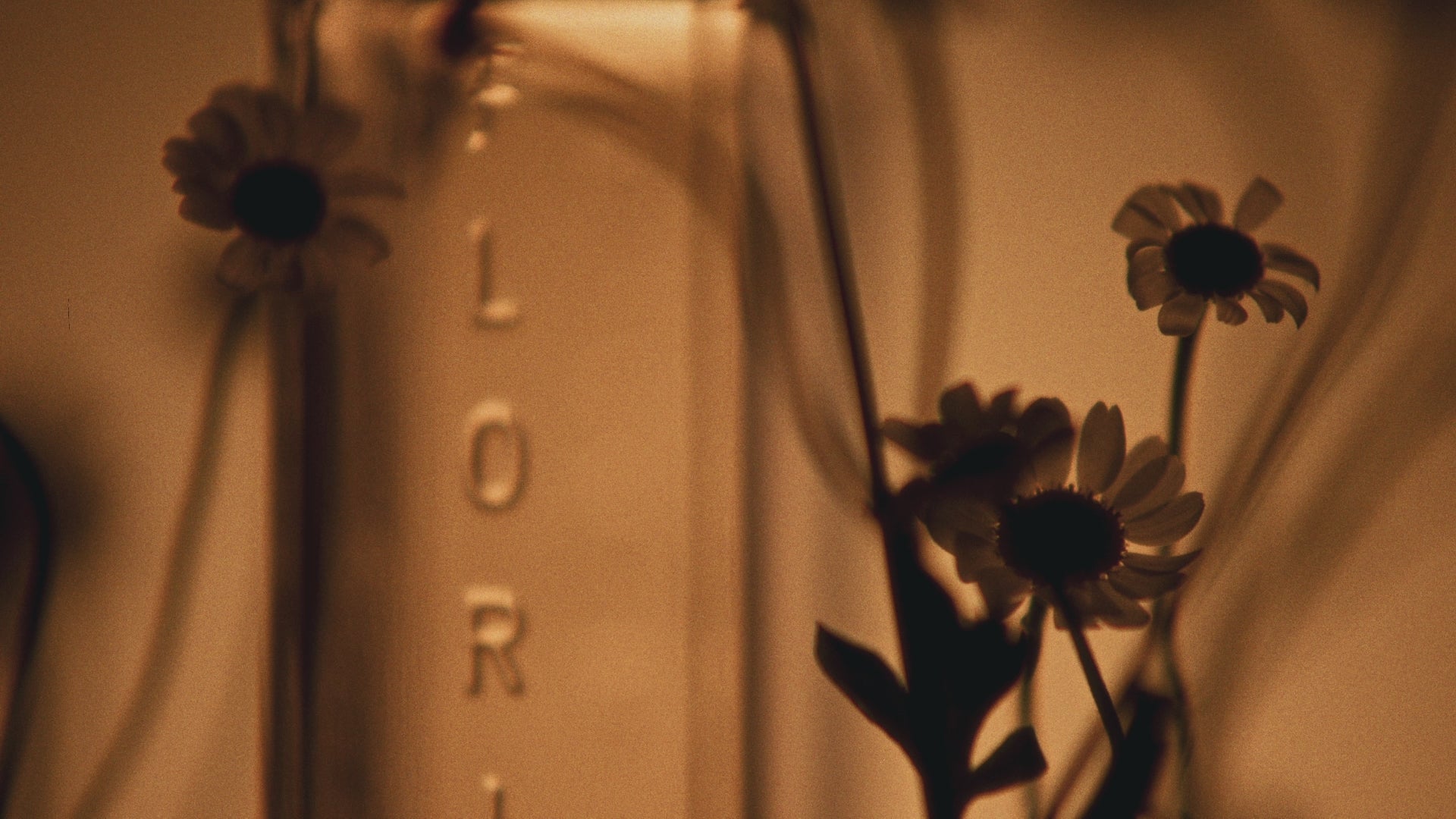 Indlæs video: Celest, Eau de Parfum, 100 ml.